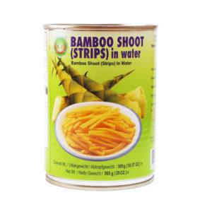 X.O Bamboo Shoot Strips in Water 565g