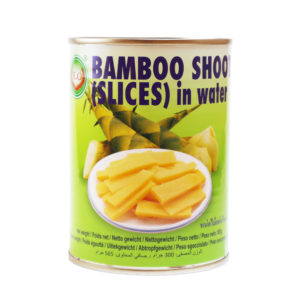 X.O Bamboo Shoot (slices) in water 585g