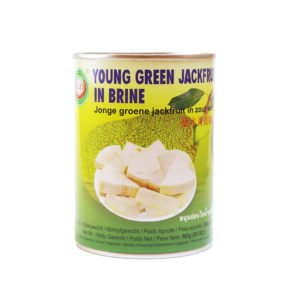 X.O Young Green Jackfruit in Brine