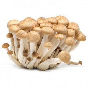 brown-mushroom.jpg