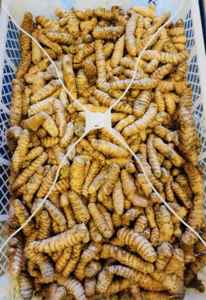 436cb726-c79e-4289-9512-a63d7a0f92e5