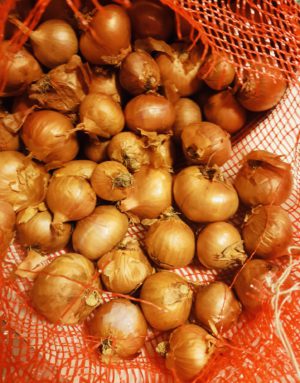 d2d8d53f-fb93-476b-97ab-97f0f40aac62